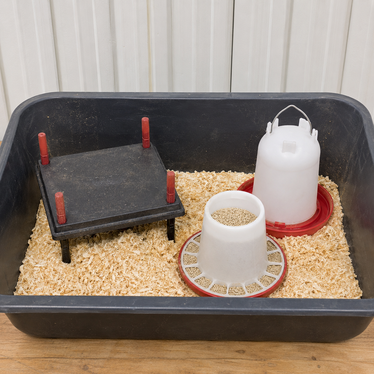 Chick Brooder Starter Kit